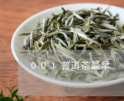 001普洱茶最早/2023041005938