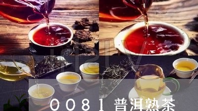 0081普洱熟茶/2023032995949