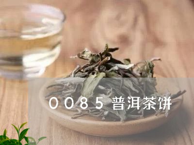 0085普洱茶饼/2023041004157