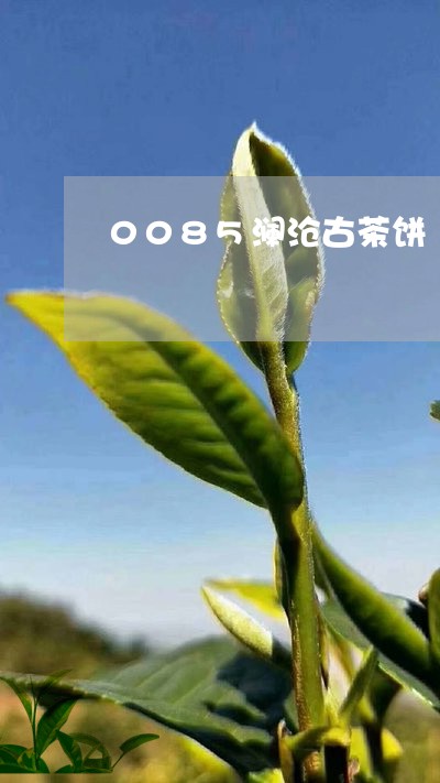 0085澜沧古茶饼/2023041766148