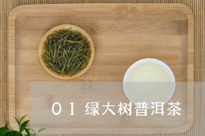 01绿大树普洱茶/2023040960684