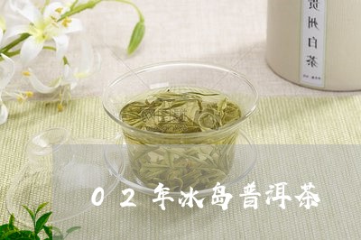 02年冰岛普洱茶/2023041316248