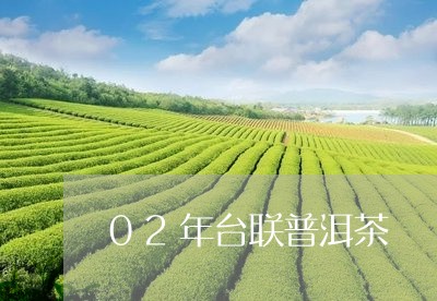 02年台联普洱茶/2023033161826