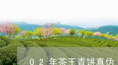 02年茶王青饼真伪/2023032138351