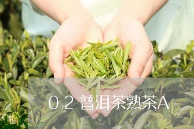 02普洱茶熟茶A/2023041170825