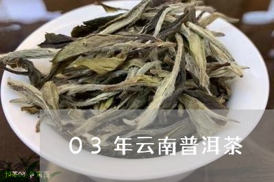 03年云南普洱茶/2023041046248