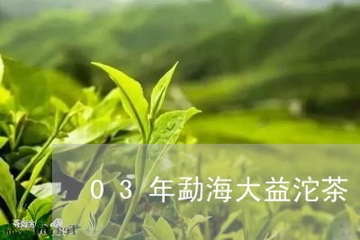 03年勐海大益沱茶/2023032265938