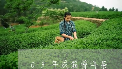 03年成箱普洱茶/2023033069524