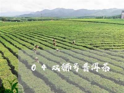 04双狮号普洱茶/2023031808381