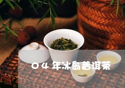 04年冰岛普洱茶/2023041306461