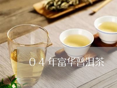 04年富华普洱茶/2023031708382