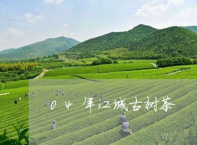 04年江城古树茶/2023032665826