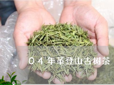 04年革登山古树茶/2023032175959