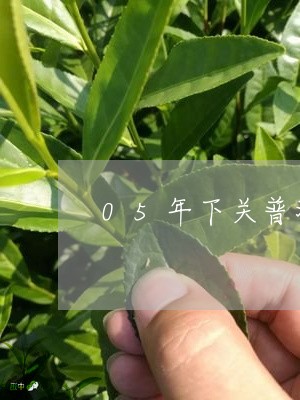 05年下关普洱茶/2023033058393