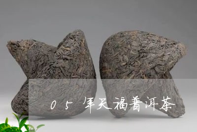 05年天福普洱茶/2023041378360