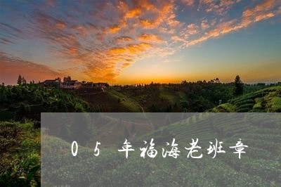 05年福海老班章/2023032847480