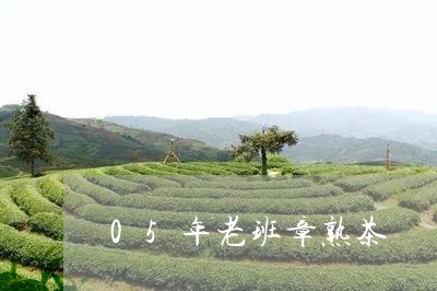 05年老班章熟茶/2023032965281