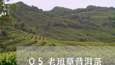 05老班章普洱茶/2023031768592