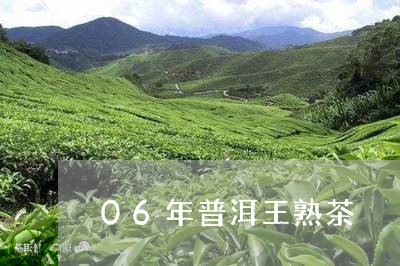 06年普洱王熟茶/2023032903846