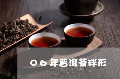 06年普洱茶球形/2023031739360