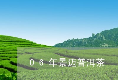 06年景迈普洱茶/2023033112036