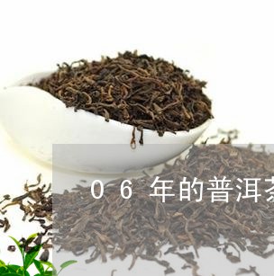 06年的普洱茶饼/2023041328159