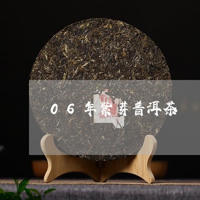 06年紫芽普洱茶/2023041353737