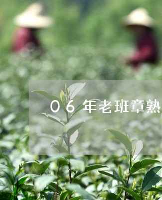 06年老班章熟茶/2023032903827