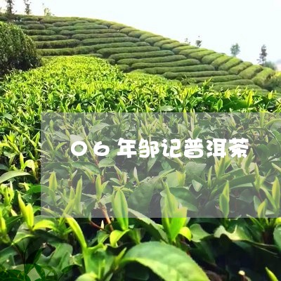 06年邹记普洱茶/2023041292826