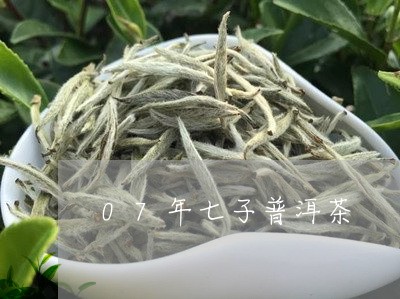 07年七子普洱茶/2023031660595