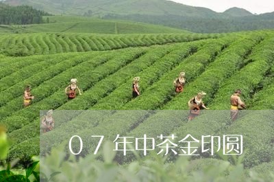 07年中茶金印圆/2023032471724