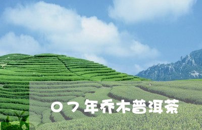 07年乔木普洱茶/2023041265040