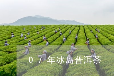 07年冰岛普洱茶/2023031783749