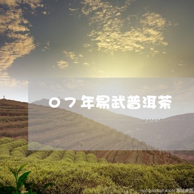 07年易武普洱茶/2023040149382