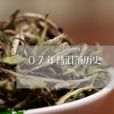 07年普洱茶历史/2023031731648