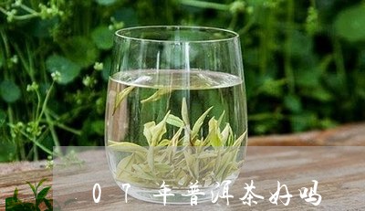 07年普洱茶好吗/2023031703916