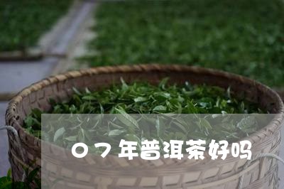 07年普洱茶好吗/2023041207260