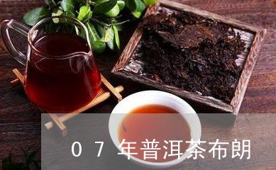 07年普洱茶布朗/2023041004837