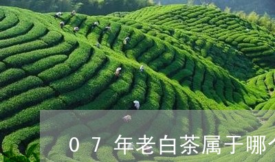 07年老白茶属于哪个等级/2023033089405