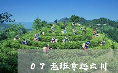 07老班章赵云川/2023032830603