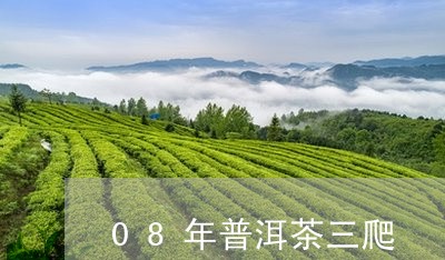 08年普洱茶三爬/2023031666062