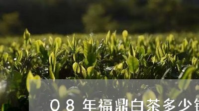 08年福鼎白茶多少钱一斤/2023033054838