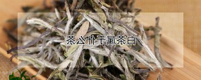 08普洱茶能喝吗/2023040174049