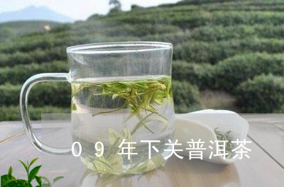 09年下关普洱茶/2023033006171