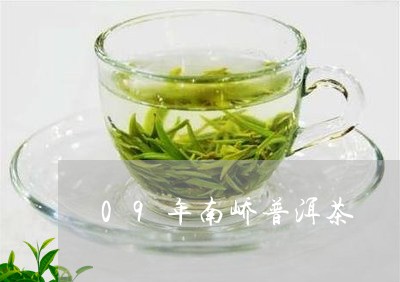 09年南峤普洱茶/2023041328582