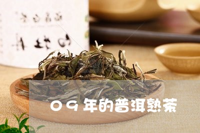 09年的普洱熟茶/2023032908374