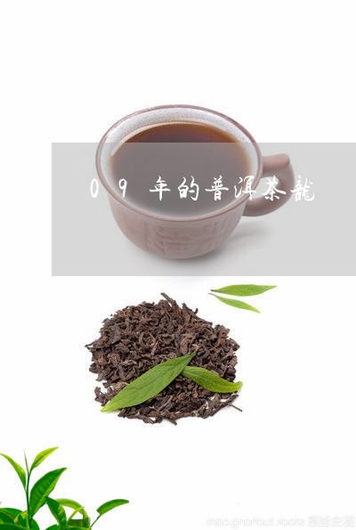 09年的普洱茶龙/2023040142694