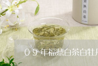 09年福鼎白茶白牡丹茶饼/2023033066260