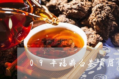 09年福鼎白茶贡眉饼价格/2023033017204