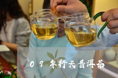 09年行天普洱茶/2023031747492